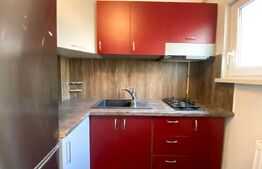 Garsoniera, 28 mp, centrala termica, zona strazii Cernei