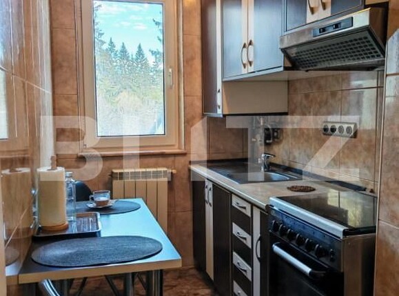 Apartament de închiriat 2 camere Predeal - 181253AI | BLITZ Brașov | Poza3