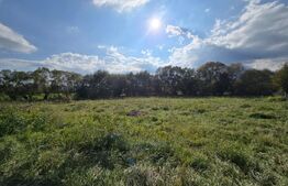 Teren intravilan 1200mp in zona Domeniul regilor 