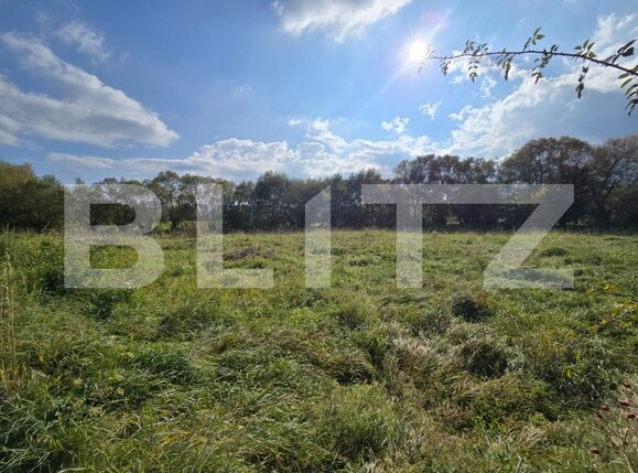 Teren de vânzare Salicea - 181262TV | BLITZ Cluj-Napoca | Poza3