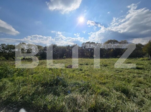 Teren de vânzare Salicea - 181263TV | BLITZ Cluj-Napoca | Poza1