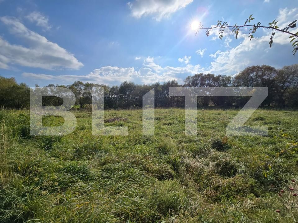 Teren de vânzare Salicea - 181263TV | BLITZ Cluj-Napoca | Poza3