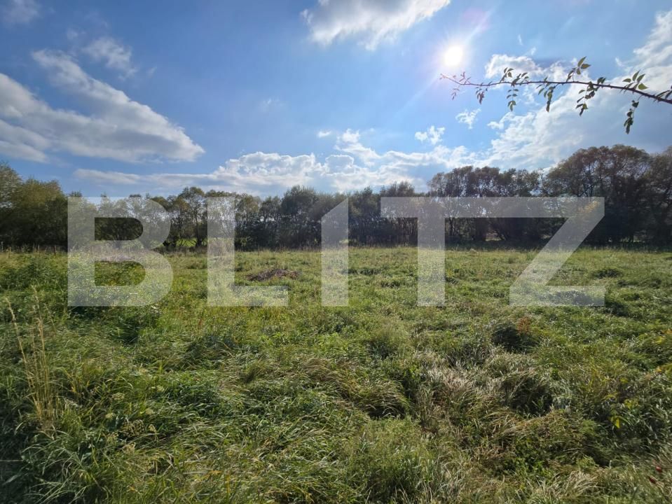 Teren de vânzare Salicea - 181263TV | BLITZ Cluj-Napoca | Poza2