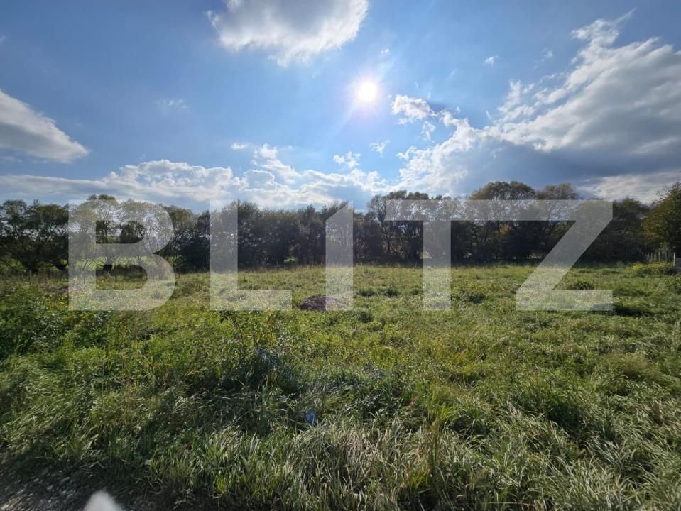 Teren de vânzare Salicea - 181263TV | BLITZ Cluj-Napoca | Poza1