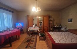 Casa de vanzare, 1360 mp teren, strada asfaltata, circulata, Centrul Vechi