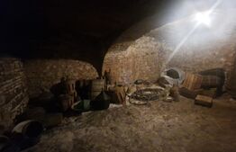 Casa de vanzare, 1360 mp teren, strada asfaltata, circulata, Centrul Vechi