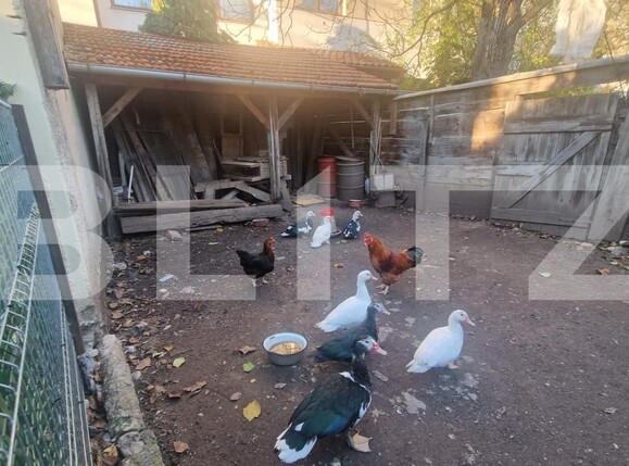 Casa de vânzare 6 camere Centrul Istoric - 181268CV | BLITZ Brașov | Poza13