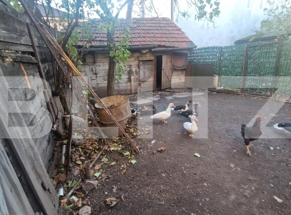 Casa de vânzare 6 camere Centrul Istoric - 181268CV | BLITZ Brașov | Poza6