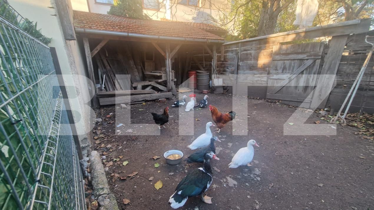 Casa de vânzare 6 camere Centrul Istoric - 181268CV | BLITZ Brașov | Poza13