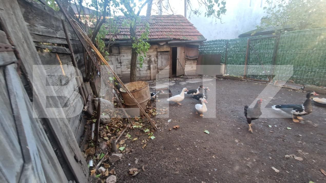 Casa de vânzare 6 camere Centrul Istoric - 181268CV | BLITZ Brașov | Poza6