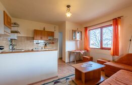 Casa de vanzare Jucu de Mijloc, Zona Panemar Teren intravilan 3301 mp