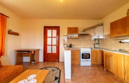 Casa de vanzare Jucu de Mijloc, Zona Panemar Teren intravilan 3301 mp