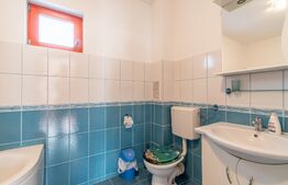 Casa de vanzare Jucu de Mijloc, Zona Panemar Teren intravilan 3301 mp