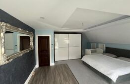 Vilă cu finisaje LUX și teren de 832mp la intrare în Dezmir!