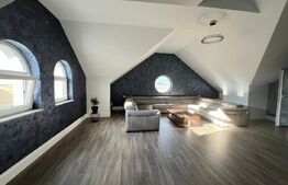 Vilă cu finisaje LUX și teren de 832mp la intrare în Dezmir!