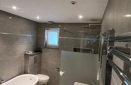 Vilă cu finisaje LUX și teren de 832mp la intrare în Dezmir!