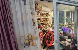 Apartament cu 3 camere, zona Porii 