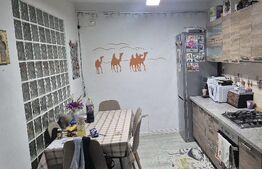 Apartament cu 3 camere, zona Porii 