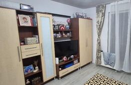 Apartament cu 3 camere, zona Porii 