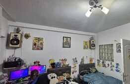 Apartament cu 3 camere, zona Porii 