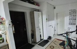 Apartament cu 3 camere, zona Porii 