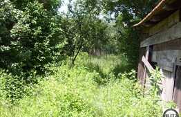 Casa Modesta , Cu Gradina Mare in Zona Veche Din Grigorescu !