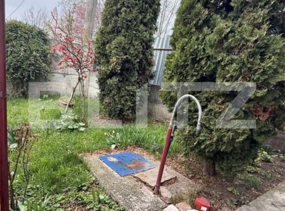 Casa de vânzare 2 camere Dambul Rotund - 181365CV | BLITZ Cluj-Napoca | Poza4