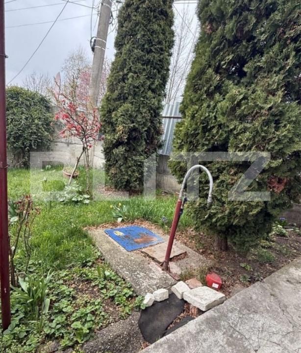 Casa de vânzare 2 camere Dambul Rotund - 181365CV | BLITZ Cluj-Napoca | Poza4