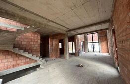 Casa individuala zona Roata Faget