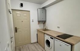 Garsonieră în zona Plopilor, 15 mp, renovată și utilată, cu boxă proprie