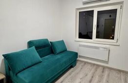 Garsonieră în zona Plopilor, 15 mp, renovată și utilată, cu boxă proprie