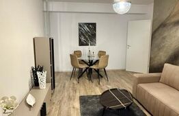 Apartament 2 camere decomandat, mobilat la cheie, 56 mp utili, zona Terra