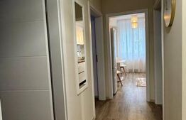 Apartament 2 camere decomandat, mobilat la cheie, 56 mp utili, zona Terra