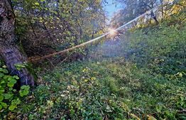 Teren cu panorama deosebita, 725mp, cu autorizatie de construire , in Feleacu