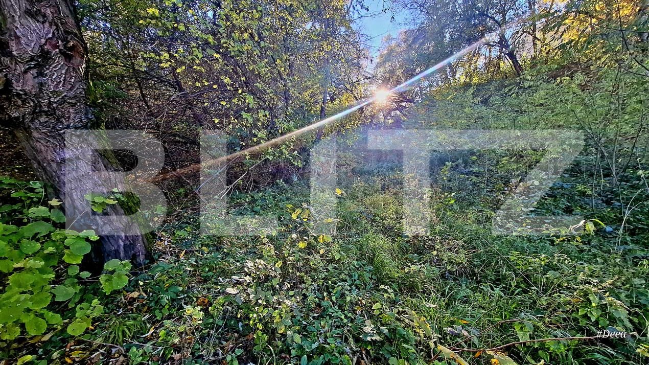 Teren de vânzare Feleacu - 181401TV | BLITZ Cluj-Napoca | Poza12