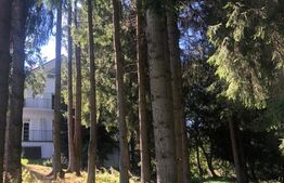 Afacere la cheie! Vila clasificata, 5 camere, 300 mp, teren 1600 mp