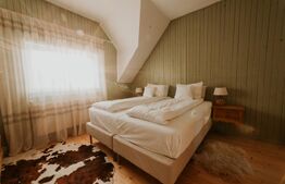 Afacere la cheie! Vila clasificata, 5 camere, 300 mp, teren 1600 mp