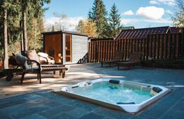 Afacere la cheie! Vila clasificata, 5 camere, 300 mp, teren 1600 mp