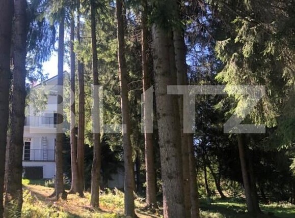 Spațiu comercial de vânzare Exterior Vest - 181413SVC | BLITZ Cluj-Napoca | Poza17