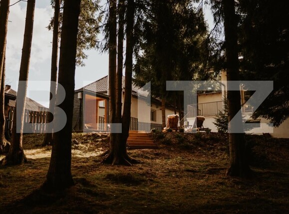 Spațiu comercial de vânzare Exterior Vest - 181413SVC | BLITZ Cluj-Napoca | Poza4