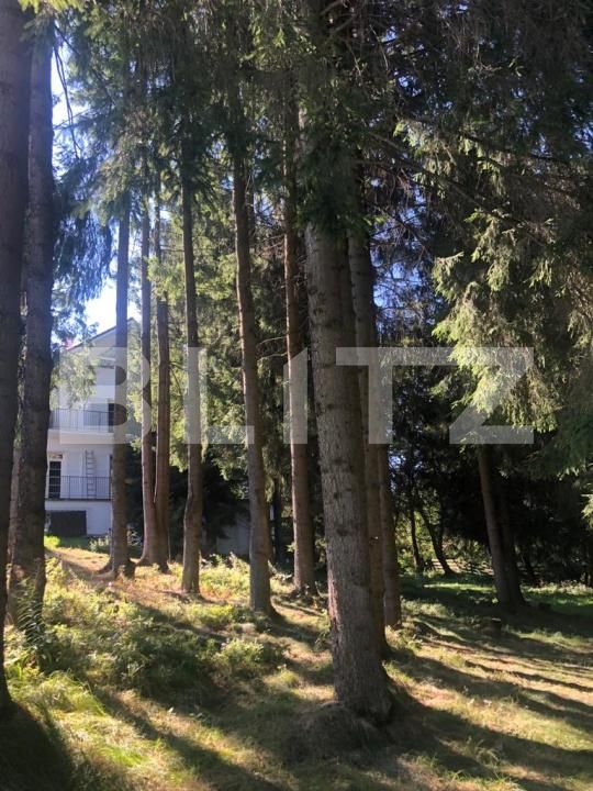 Spațiu comercial de vânzare Exterior Vest - 181413SVC | BLITZ Cluj-Napoca | Poza17