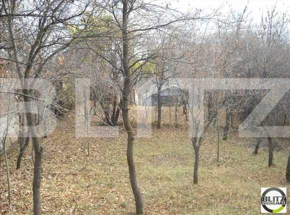 Casa de vânzare 2 camere Grigorescu - 18142CV | BLITZ Cluj-Napoca | Poza6