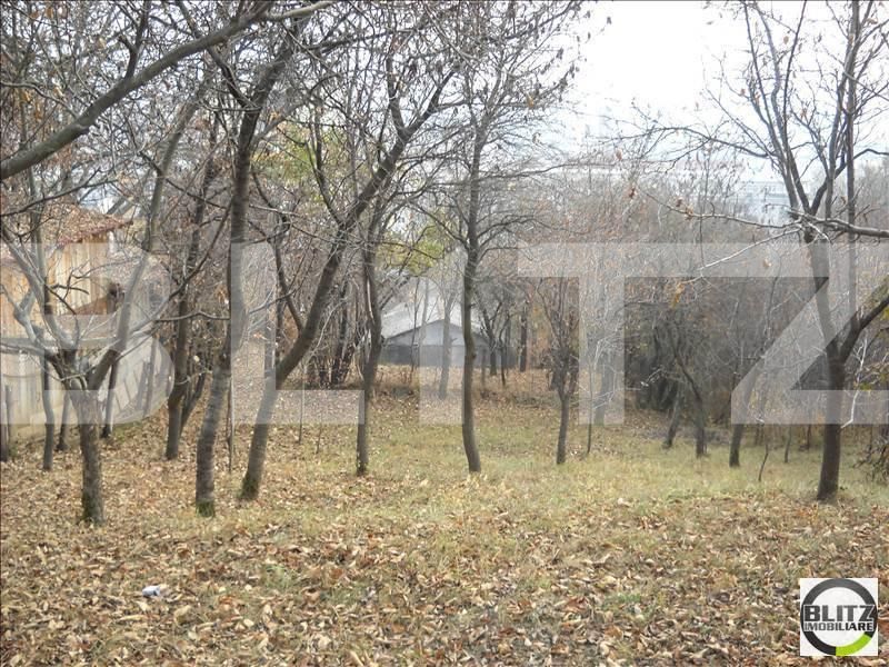 Casa de vânzare 2 camere Grigorescu - 18142CV | BLITZ Cluj-Napoca | Poza3