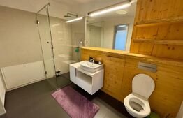 Vilă modernă de lux în zona Piața Cipariu – 3 camere, curte privată