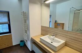 Vilă modernă de lux în zona Piața Cipariu – 3 camere, curte privată