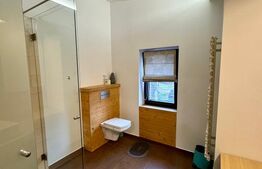 Vilă modernă de lux în zona Piața Cipariu – 3 camere, curte privată