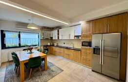 Vilă modernă de lux în zona Piața Cipariu – 3 camere, curte privată