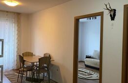 Apartament cu o camera, 38 mp, zona Florilor