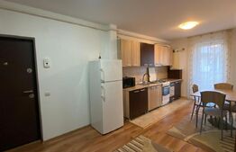 Apartament cu o camera, 38 mp, zona Florilor