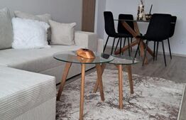 Apartament 2 camere decomandat, mobilat la cheie, 55,55 mp utili, zona Terra